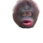 MythicalMeMe’s