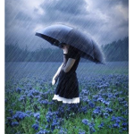 *~ Rainy Nights ~*