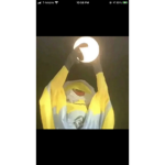 angel is a monkey