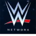 wrestling entertainment