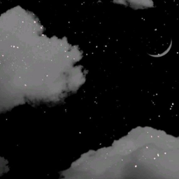 ✨