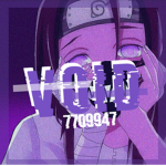 V O I D 大