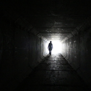 Try To Survive In The Dark