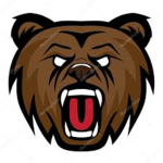 the best bear team