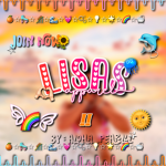 - lisas apparel -