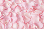 Cakkkkkeeeeee <3