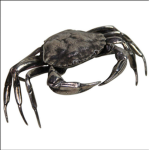 The silver crabs