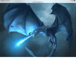 Dragon hangout