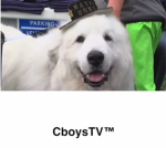cboystv
