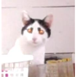 Los cacuca