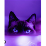 I’m devil