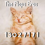 The Flop Eras