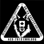 The 343