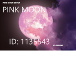 Pink moon group (DA HOOD)