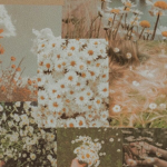 daisies_