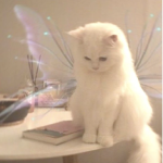 *~ iridescent ~*