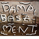 damp basement