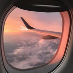 Alliance Airlines | Australia