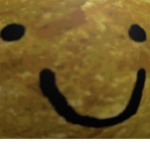 Chicken is my Nooget