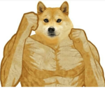 giga doge