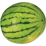 {WG} -(Watermelon Gang)-
