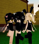 toleen11377