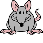 RatCult