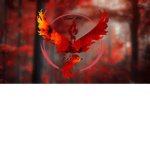 Team_rot