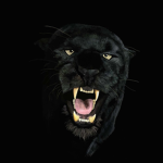 pantherguy_fan group