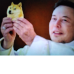 Doge rulesX