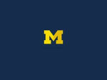 - Michigan Wolverines Football -