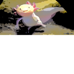 Save the axolotls now!