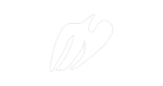 Donda Academy | HSBB V1