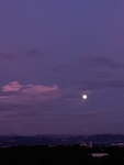 ~M i d n i g h t S k y s~
