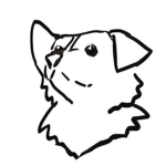 Piesy YouTube