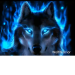 Wolf Pack@Wolf