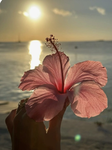 My sunshiness