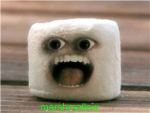 marshmallow