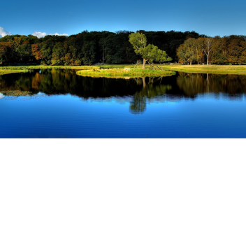 Mansions Fan Hangout