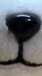 ゆな動画班