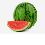Melon Army Guys