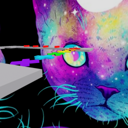 CAT OBBY