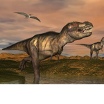 THE DINOSAUR GROUP :)