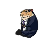 Busy Man Chomik