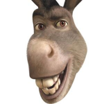 insane donkeys