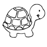 Derp's Turtle Clothing