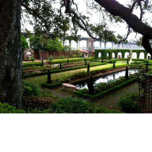 Survive The Killer..