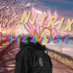N i t r i x Group