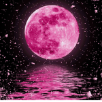 Moonlight Shine Bright!