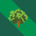 State of Woodsburrow